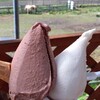 信州　みのわ愛す工房 - 遠くにポニー w