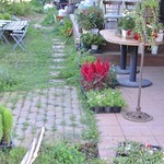 ラ・スタッラ - ●２０１３．０７．１９【訪問２回目】