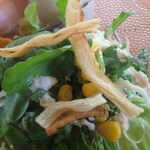 玄米レストラン ぜんな - 野菜サラダ（ごぼうチップ）