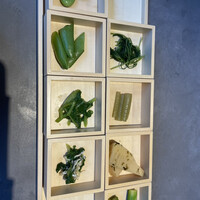 現代里山料理 ZEN HOUSE - 