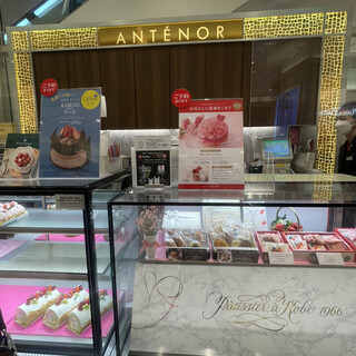 アンテノール_2