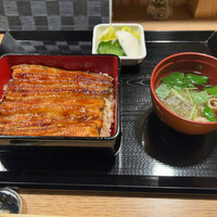 うなぎ 目白ぞろ芽 - 