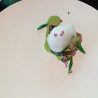 TRATTORIA CREATTA - 