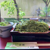 松鶴園・茶房茶遊
