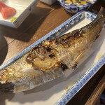 飯・酒場 コマメヤ - 