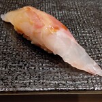 名古屋 栄 鮨 栄華 - ハタマス