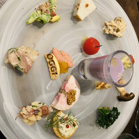 オッジ ダルマット 西麻布店 - 