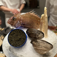 銀座 kappou ukai 肉匠 - 