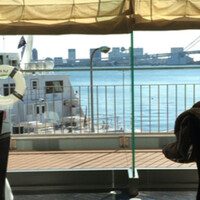 ツキ シュール ラメール - 