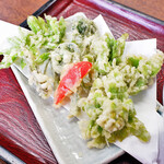 長生うどん - 春の山菜天盛り