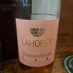 DUB - チェコのワインは正直今まで飲んだ事がなかった…。