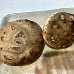 柚木元 - 立派な椎茸