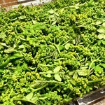 柚木元 - 花山椒