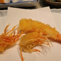 天冨良 よこ田 - 
