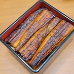 Unagi Saitaniya - 