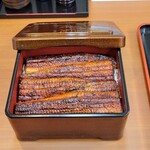 Unagi Saitaniya - 