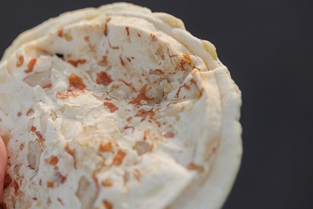 元沢煎餅店 - 本八戸（せんべい）の写真