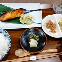 庵樹 - 