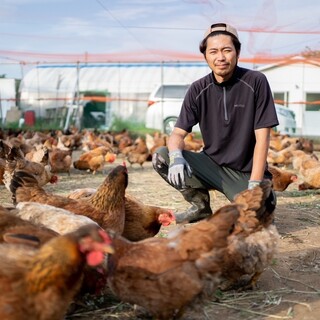 Three types of free-range chicken, including Japan's three most delicious chickens, raised freely and healthily.