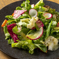 農園野菜のシンプルサラダ