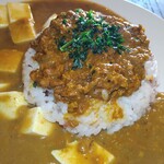 CURRYBARGAKU - スパイシーカレー　トウフトッピング　キーマ部分