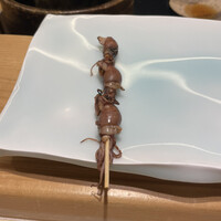 鮨 なんば 日比谷 - 