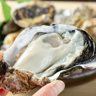 一年中新鮮な牡蠣をご用意しております！