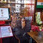 Indian ＆ Nepal Bar Laxmi - 店入り口。猫はラクシュミーのアイコン。