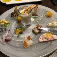 オッジ ダルマット 西麻布店 - 