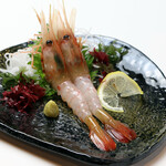 箱館居酒屋 熾美 - 特大ボタンえび刺し