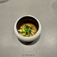 CIRPAS - 