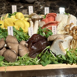 Shangri-La's secret - 