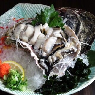 Kaisen Izakaya Genki - 岩牡蠣