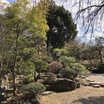 蕎麦 阿き津 - 庭