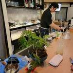 豆皿和食 まめねこ - 