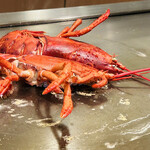 京風鉄板 はせ川 - オマール海老半身×2 綺麗な色に✨️✨️