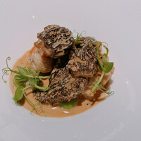 プレヴナンス - 