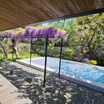 スターバックス・コーヒー - テラス席へと向かう入り口から