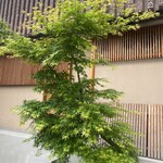 米増 - あれ❓
      お元気すぎますね
      