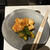 大阪屋 - 料理写真:キムチ盛り合わせ