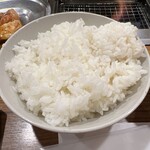 ひとり焼肉やる気 - 