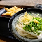 Fujimi Udon - 