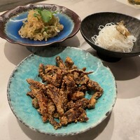 CINA New Modern Chinese - 