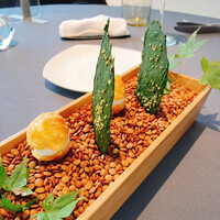 プレヴナンス - 