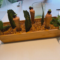 プレヴナンス - 