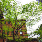 CIRCULO - テラス席の気持ち良い季節