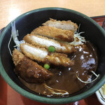 吉備サービスエリア(上り線)フードコート - デミカツ丼