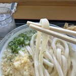 手打ちうどんますや - コシが強く太いうどんは１本ずつ味わって食べたい