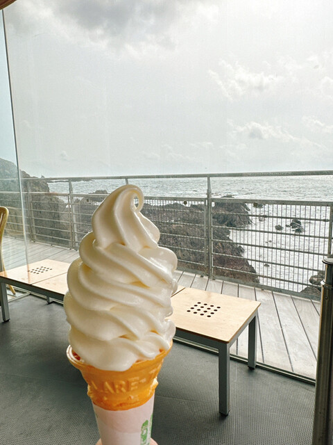 男鹿水族館GAO ミュージアムショップ（オガスイゾクカンガオ ミュージアムショップ） - 男鹿市その他（ソフトクリーム）の写真