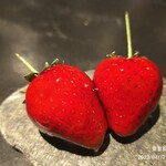 フロリレージュ - 送ろ物（アップ）